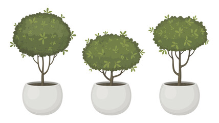 Three perfectly shaped green topiary trees in white pots creating a symmetrical decorative element silhouette