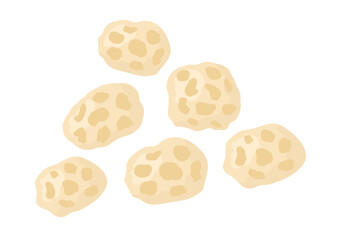 Tiger nuts isolated vector illustration. Chufa organic superfood ingredient for healthy diet. Natural snack element on white background