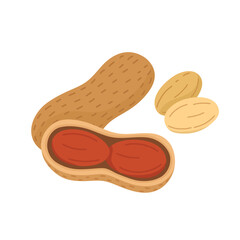 Peanuts isolated vector illustration. Doodle organic legume seed used as snack and ingredient in healthy nutrition. Natural food element on white background