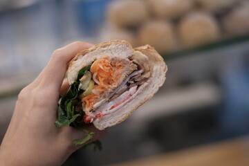 VIETNAMESE BAHN MI WITH HAND CLOSE UP