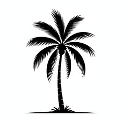 Obraz premium Palm tree silhouette. Simple, creative, vector silhouette palm tree illustration.