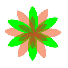 the most beautiful flower vector