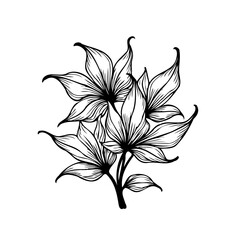 Elegant botanical illustration featuring delicate floral composition with graceful lines and