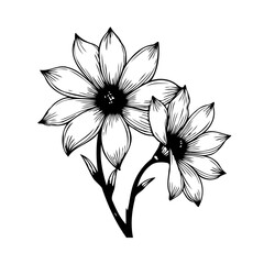 Elegant floral duo: Botanical line art illustration with petals, stamen, leaves, and graceful stem