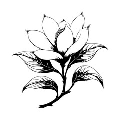 Elegant floral illustration featuring a blooming blossom and stylized leaves creates a calming