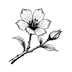 Elegant floral illustration showcasing delicate petals and botanical artistry perfect for creative