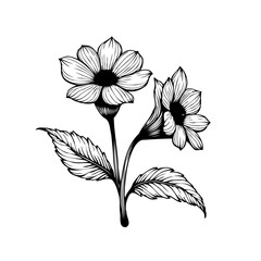 Elegant floral line art featuring delicate blossoms and foliage creating a timeless botanical