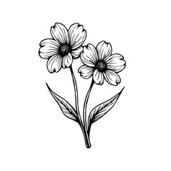 Elegant floral line art featuring a dual blossom design with detailed petals and textured centers
