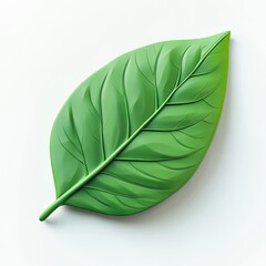 Fototapeta premium Vibrant green leaf, detailed veins, smooth texture, isolated on white