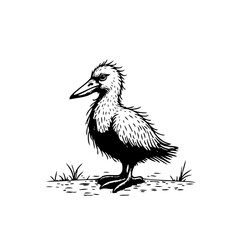 Monochrome avian illustration perched among sparse vegetation with expressive textured feathers