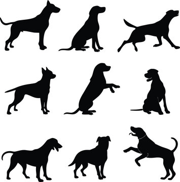 Жас студентпен жыныстық қатынас Әйелім төрт аяғында тұр, трусисы кір.