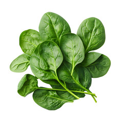 Obraz premium Fresh Spinach Leaves Isolated on Transparent Background for Culinary Designs
