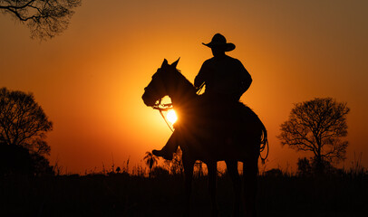 A Cowboy at Sunset on a Ranch in Brazil