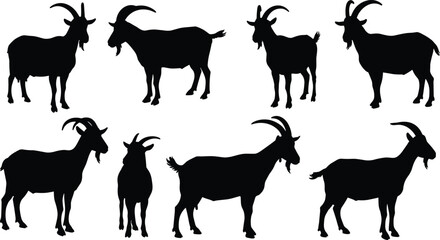 Goat silhouette collection, farm animal poses illustration, livestock artwork, rural agriculture design, horned mammal farming concept
