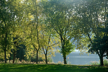 Lac de Créteil, Parc départemental du Val de Marne, 94,  Île de France, France