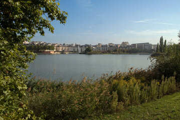 Obraz premium Phragmites australis, Roseau, Lac de Creteil, Parc départemental du Val de Marne, 94, France
