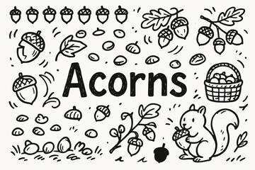 Fototapeta premium Acorn and squirrel outline icon set. autumn harvest, wildlife outline collection