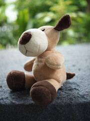 dog doll sitting on garden and greenbackground