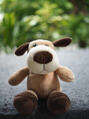 dog doll sitting on garden and greenbackground