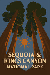 Sunlight Through Sequoia Trees Sequoia National Park
