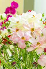 Obraz premium a vibrant bouquet of pink and white and magenta flowers