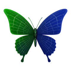 Green and blue butterfly with open wings, symbolic insect illustration representing nature, beauty and eco freedom