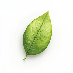 Obraz premium Vivid green leaf on white background