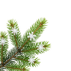 christmas tree branches