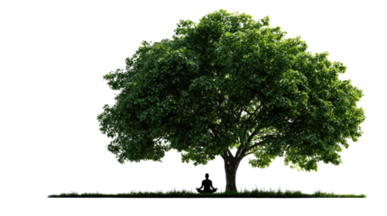 Meditation Under the Tree: A tranquil silhouette of a meditating figure is nestled beneath a large, lush tree, embodying peace, serenity, and the profound connection with nature.