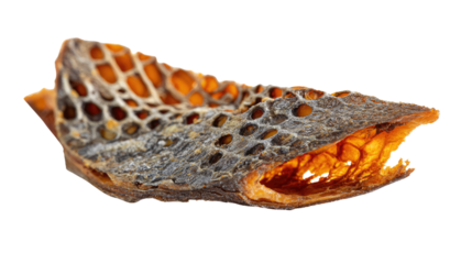 Dry Fish Skin Texture: An artistic close-up showcases the intricate details of dried fish skin, its textures and patterns. This photo illustrates a unique pattern.