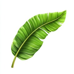 Obraz premium Vibrant green banana leaf, detailed veins