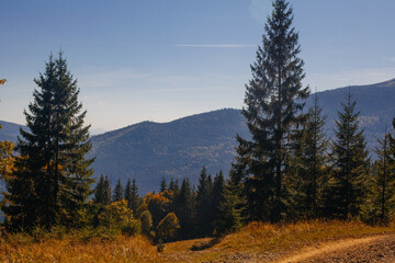 Beautiful early autumn in Carpathian mountains, Ukraine