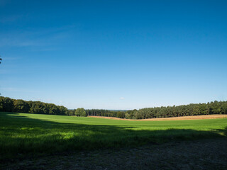 Green field in forest in Nordrhein-Westfalen, Germany