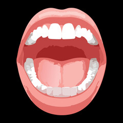 Close-up illustration of a wide-open mouth with bright white teeth, focusing on the dental arch and pink gums against a dark background	