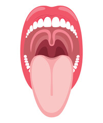 Detailed illustration of a wide-open human mouth, focusing on the tonsils, uvula, soft palate, and back of the throat	