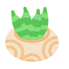 Cactus illustration