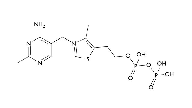 thiamine pyrophosphate molecule, structural chemical formula, ball-and-stick model, isolated image thiamine diphosphate