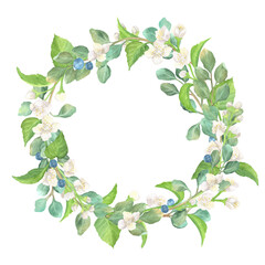 Fototapeta premium Floral wreath of jasmine and eucalyptus branchlets. White blossoms and green leaves. Circle floral frame. Garden clipart. Hand-drawn watercolor illustration for greeting cards, invitation, poster