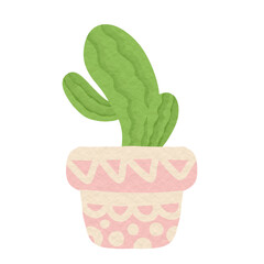 Cactus illustration