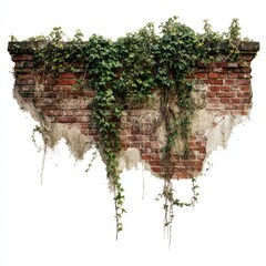 Weathered brick wall overgrown with ivy