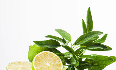 Still life of limes together with sage herbs.