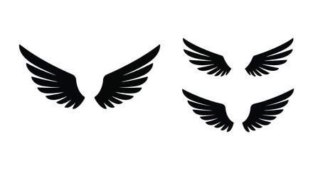 Three pairs of black wings displayed against a white background silhouette