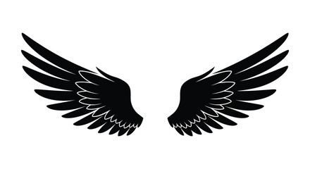 Detailed black wings spread wide against a stark white background silhouette