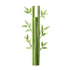 Bamboo plant 3d style isolated on transparent background