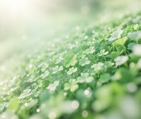 green leaf with water drops