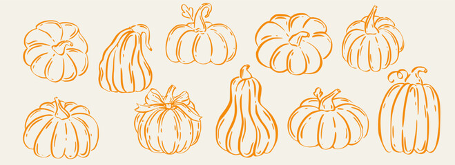 Pumpkin harvest doodle vector in autumn abstract fall illustration with warm thanksgiving style, great for seasonal poster design, cozy holiday cards or rustic festive decor.