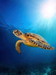 Fototapeta premium A graceful sea turtle gliding through clear blue waters, with sunlight filtering above, showcasing marine life