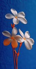 Close-up of three white flowers