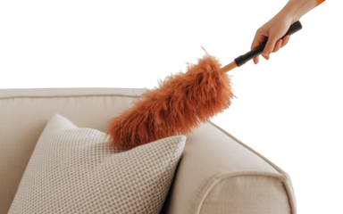 Hand dusting a sofa with a feather duster on transparent background