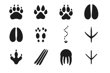 Fototapeta premium Track ox tracks arctic print icon hare ptarmigan wildlife seal vector walrus